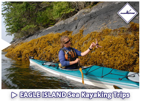 Eagle Islands, Ketchikan Alaska Sea Kayaking Tours
