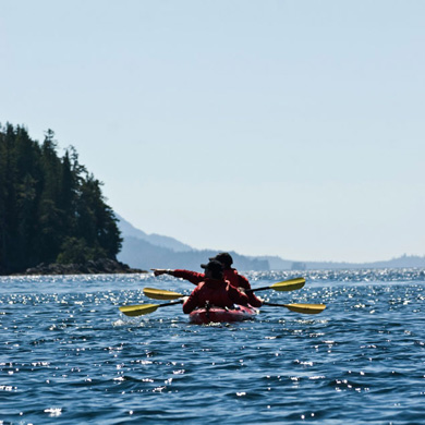 Lots to see on a Tatoosh Islands Kayak Tour with Southeast Exposure